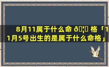 8月11属于什么命 🦁 格「11月5号出生的是属于什么命格」